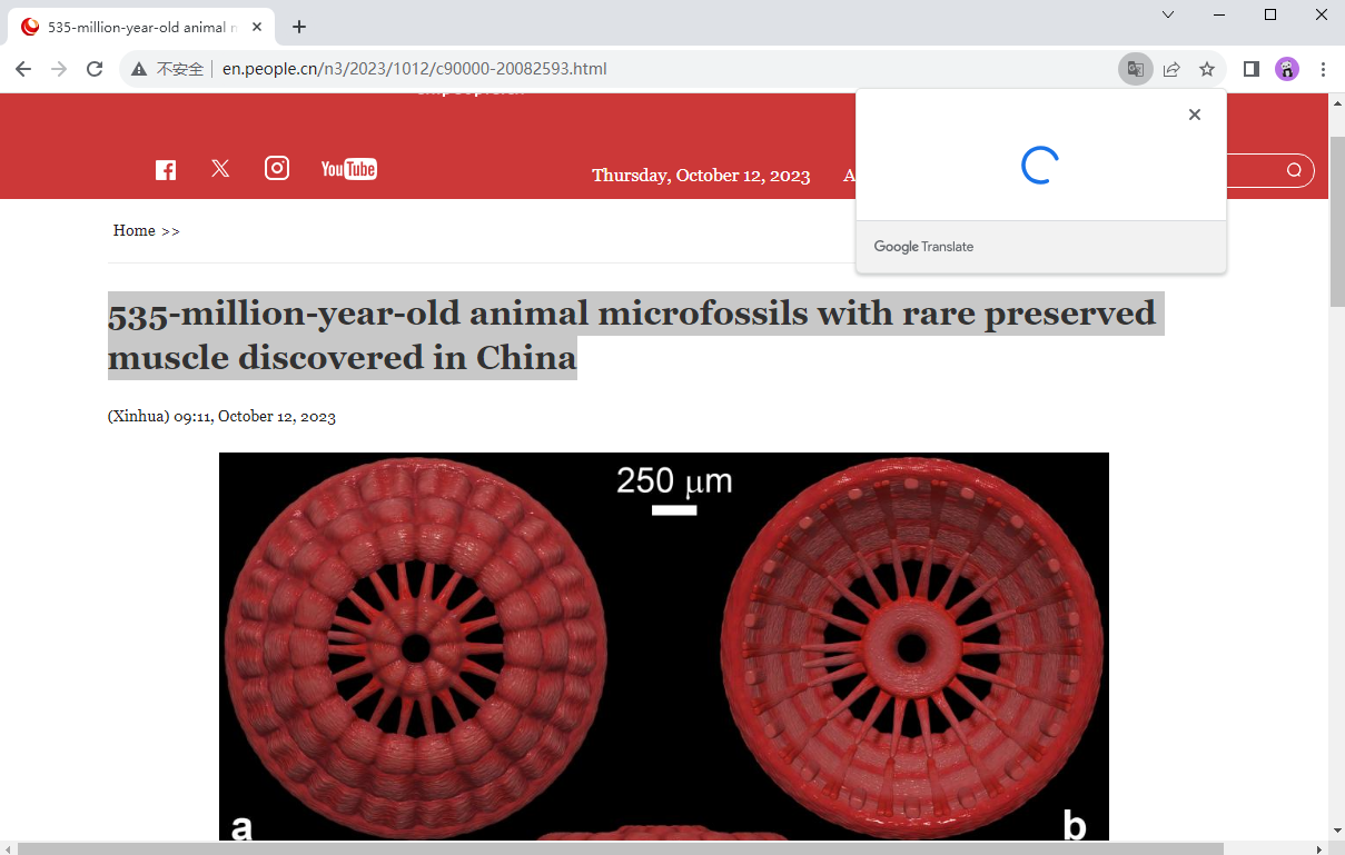 谷歌chrome浏览器破解版截图3