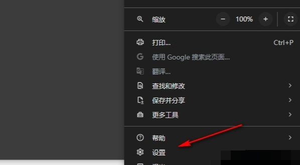 谷歌chrome浏览器免安装版3