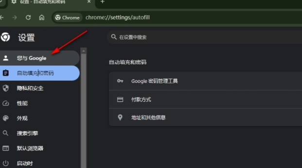 谷歌chrome浏览器标准版4