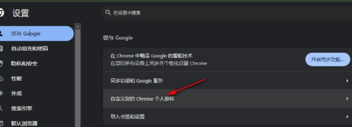 谷歌chrome浏览器标准版5