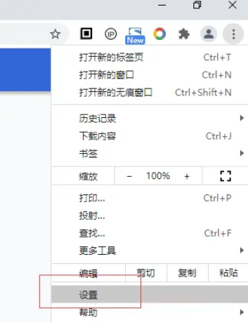 谷歌chrome浏览器精简版2