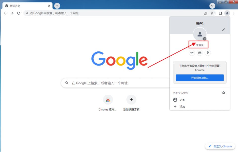 谷歌chrome浏览器纯净版2