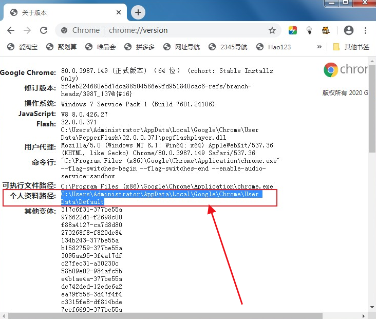 谷歌chrome浏览器英文版3