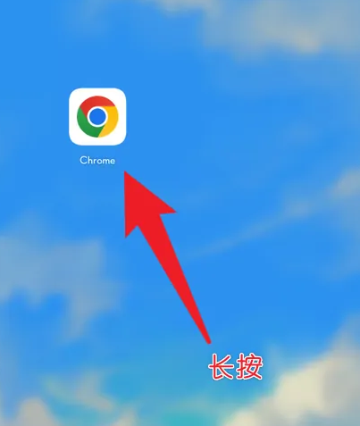 谷歌chrome浏览器81版2