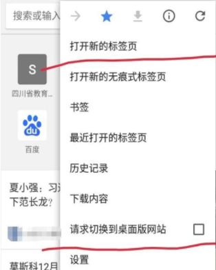 谷歌chrome浏览器原版6