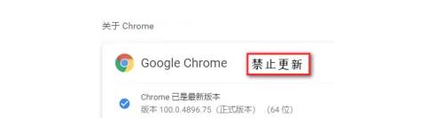 谷歌浏览器怎么关闭更新错误弹窗6