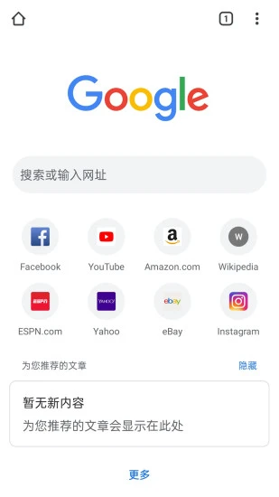 谷歌chrome浏览器ipad版1