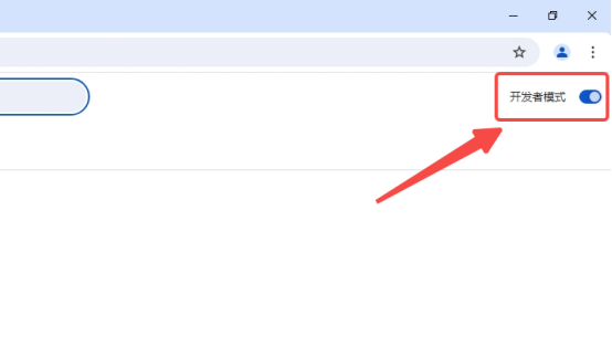 如何开启chrome浏览器的开发者模式5