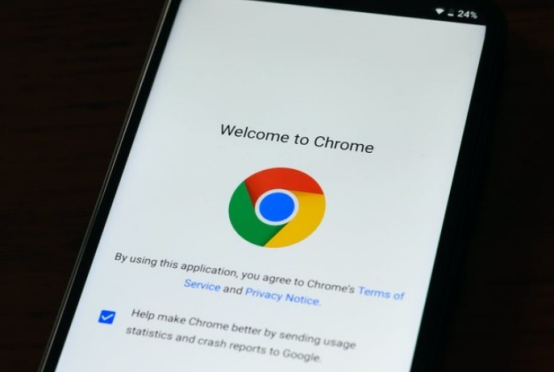 如何解决Chrome浏览器下载速度慢的问题2