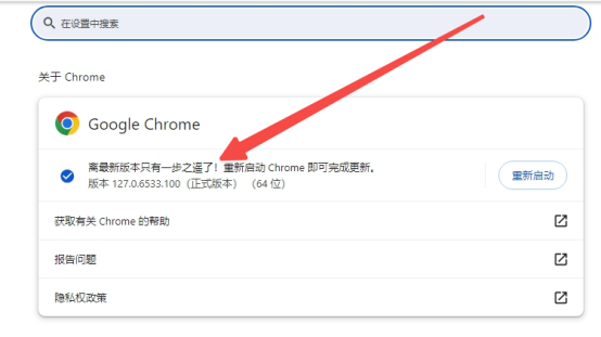 chrome浏览器闪退有什么方法解决5