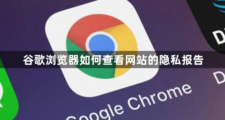 谷歌浏览器如何查看网站的隐私报告1