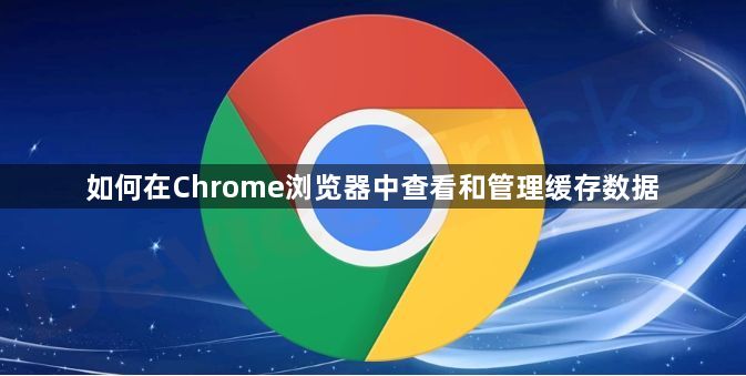 如何在Chrome浏览器中查看和管理缓存数据1